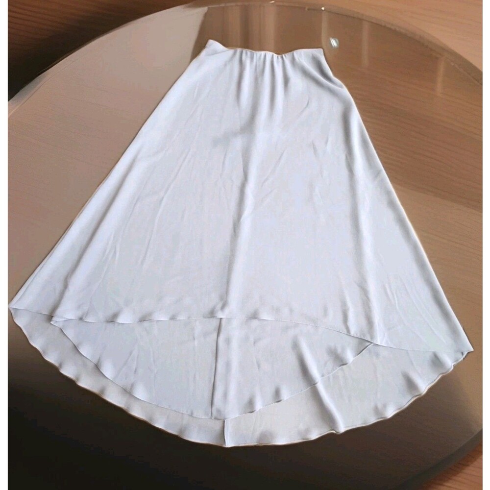 Alex Evenings NWT Maxi Skirt Chiffon Layered Gray Sz S MSRP $79
